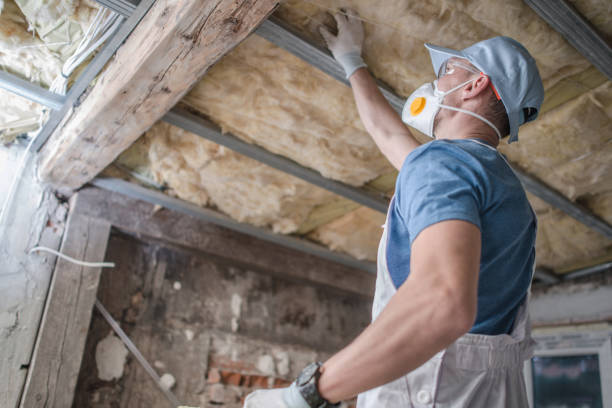 Best Insulation Installation Services in Marshall, TX